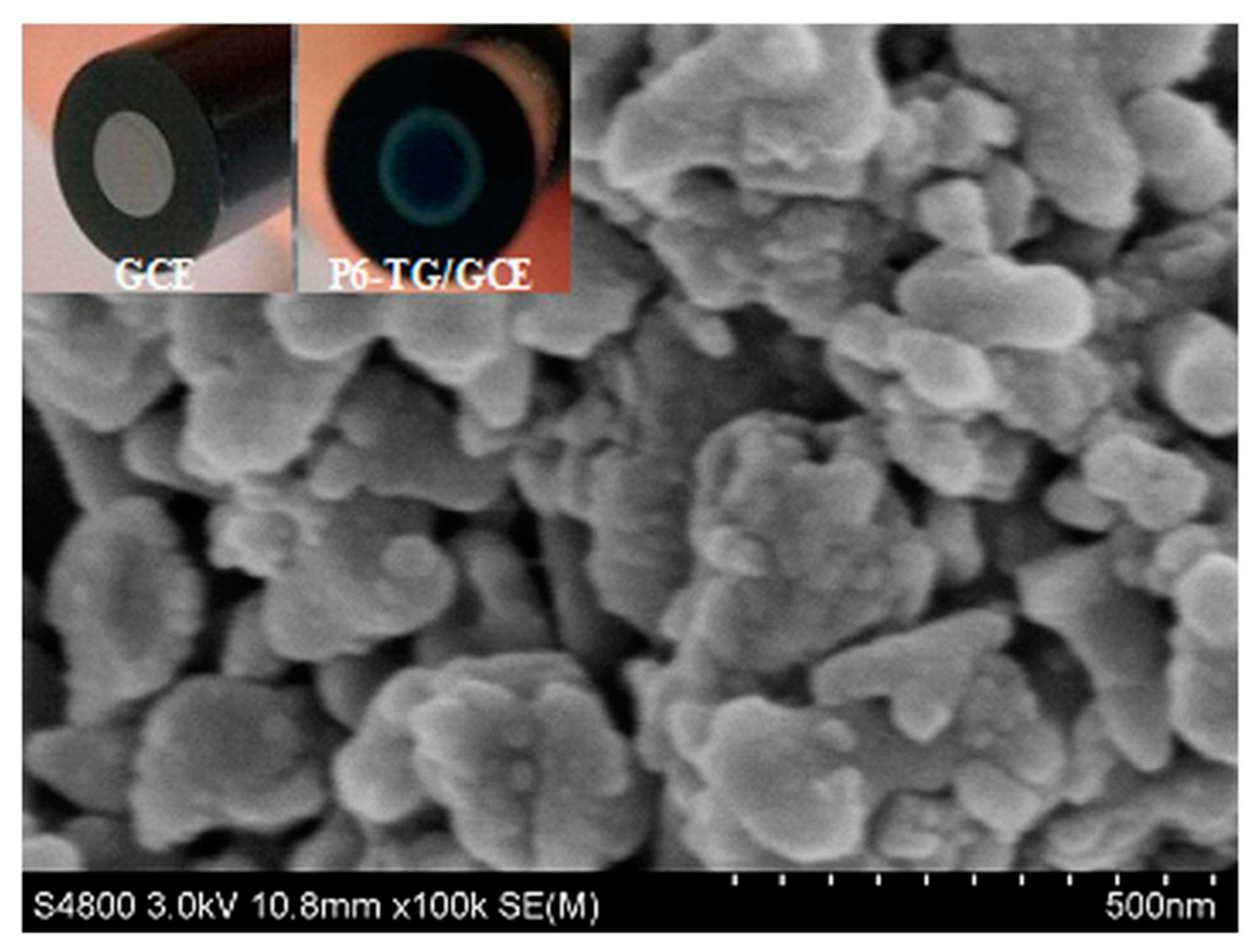 Nanomaterials 11 00252 g014 Nanomaterials 11 00252 g014