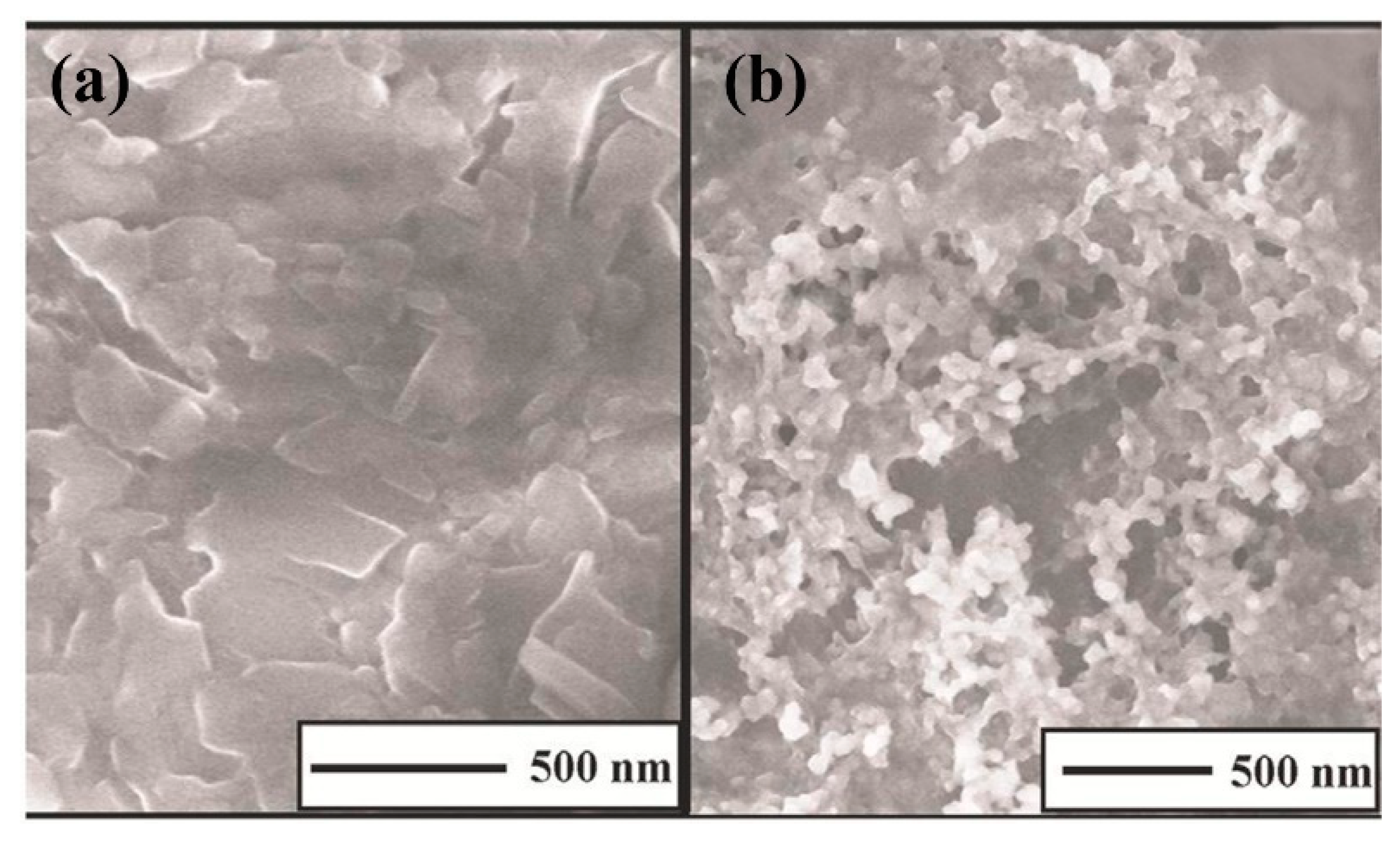 Nanomaterials 11 00252 g017 Nanomaterials 11 00252 g017