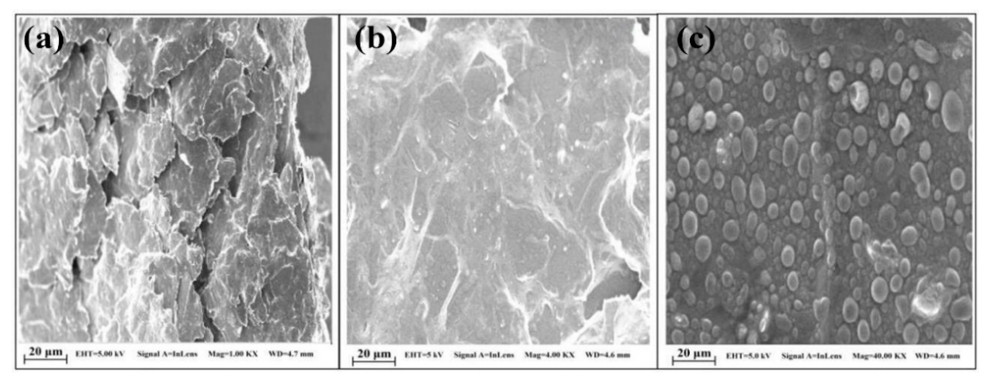 Nanomaterials 11 00252 g019 Nanomaterials 11 00252 g019