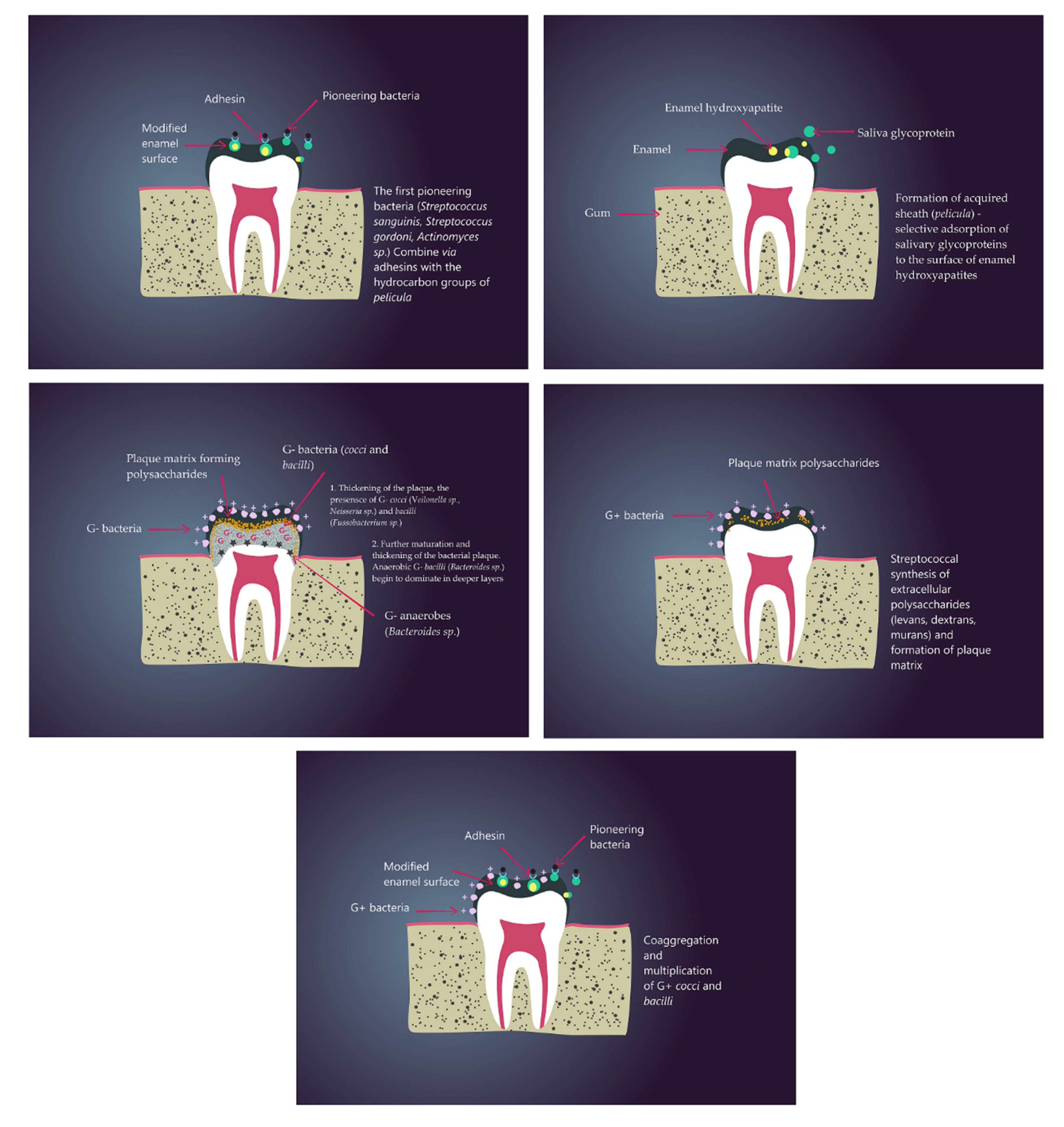 Nanomaterials 11 00259 g001