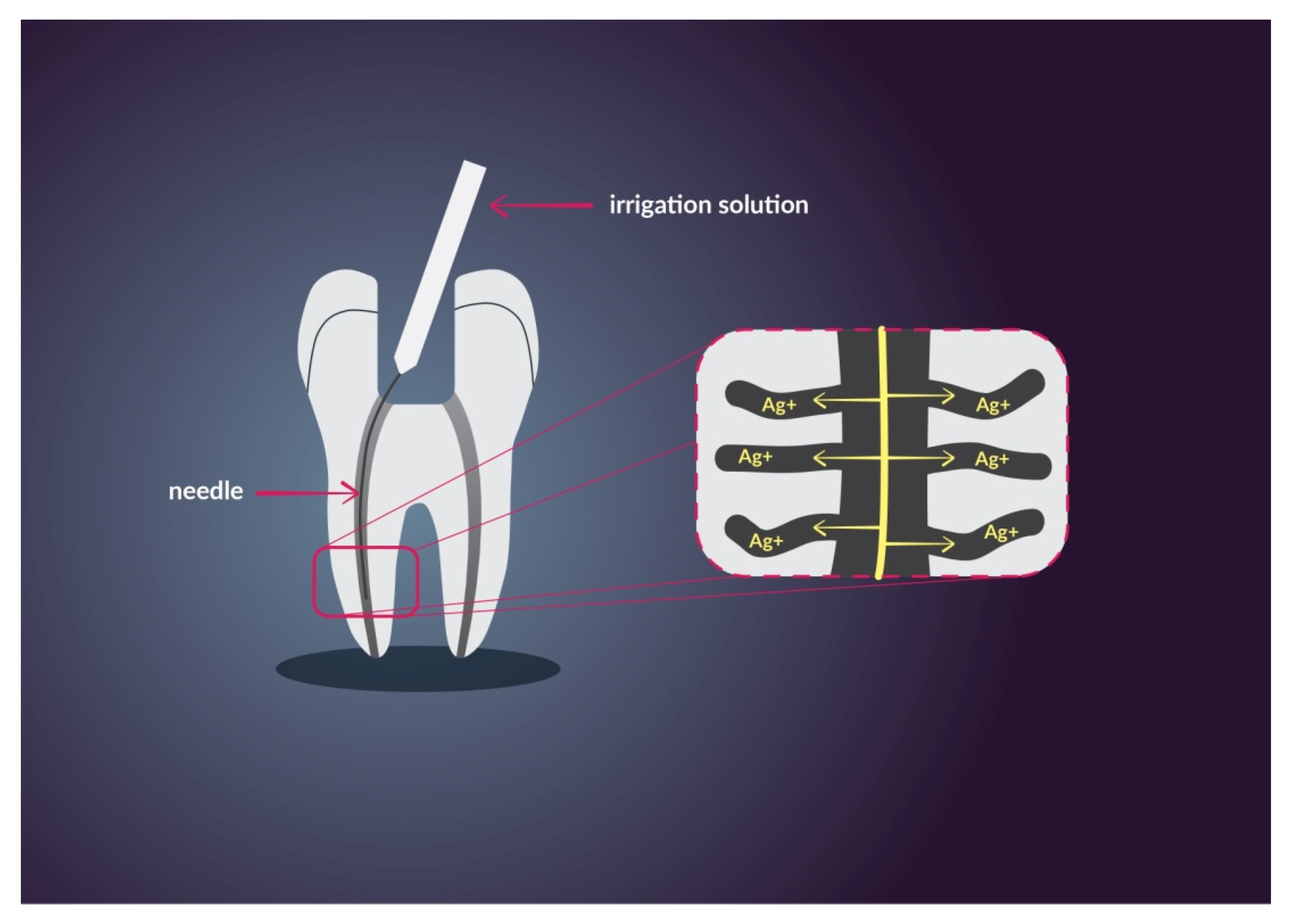 Nanomaterials 11 00259 g004