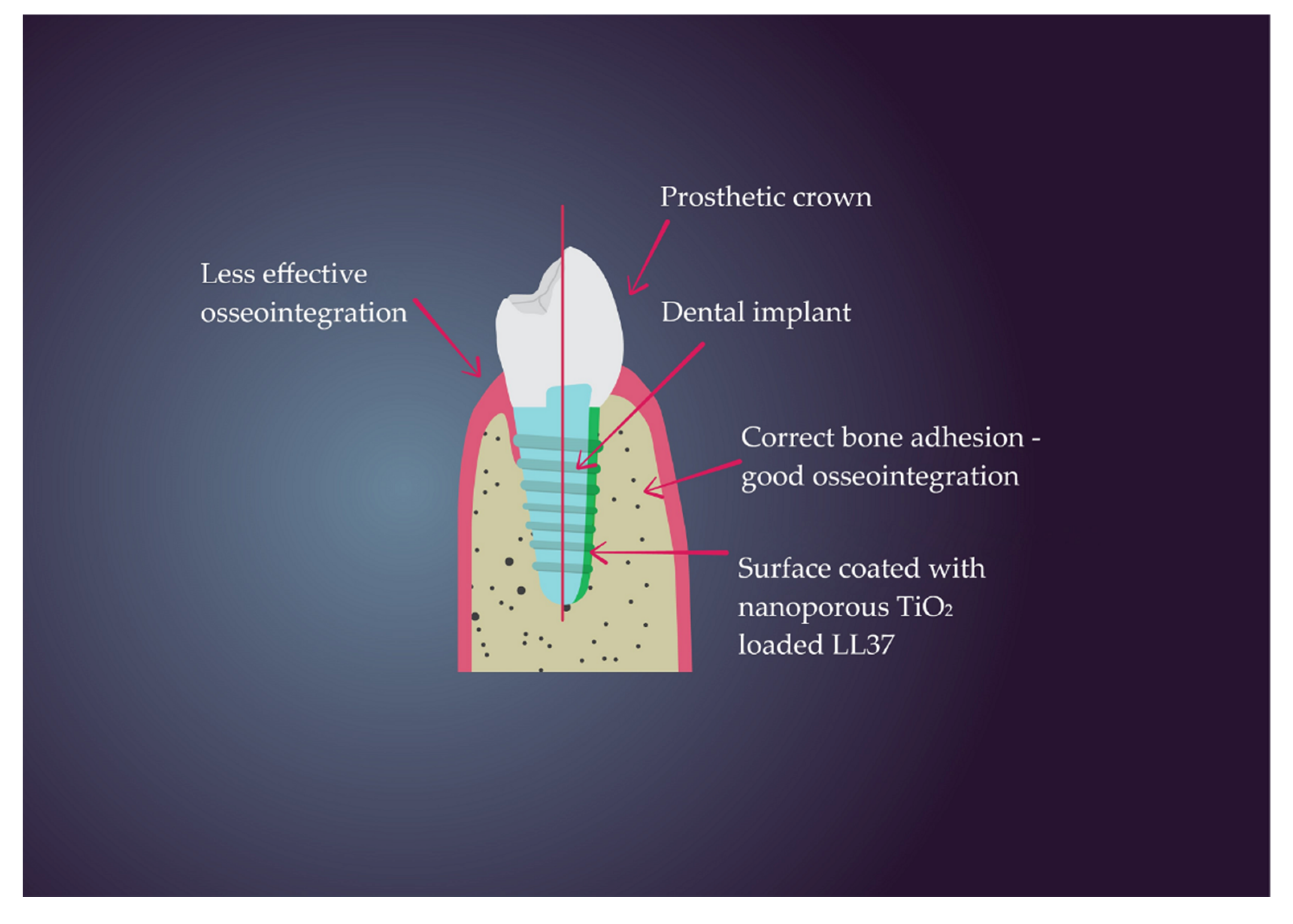 Nanomaterials 11 00259 g005