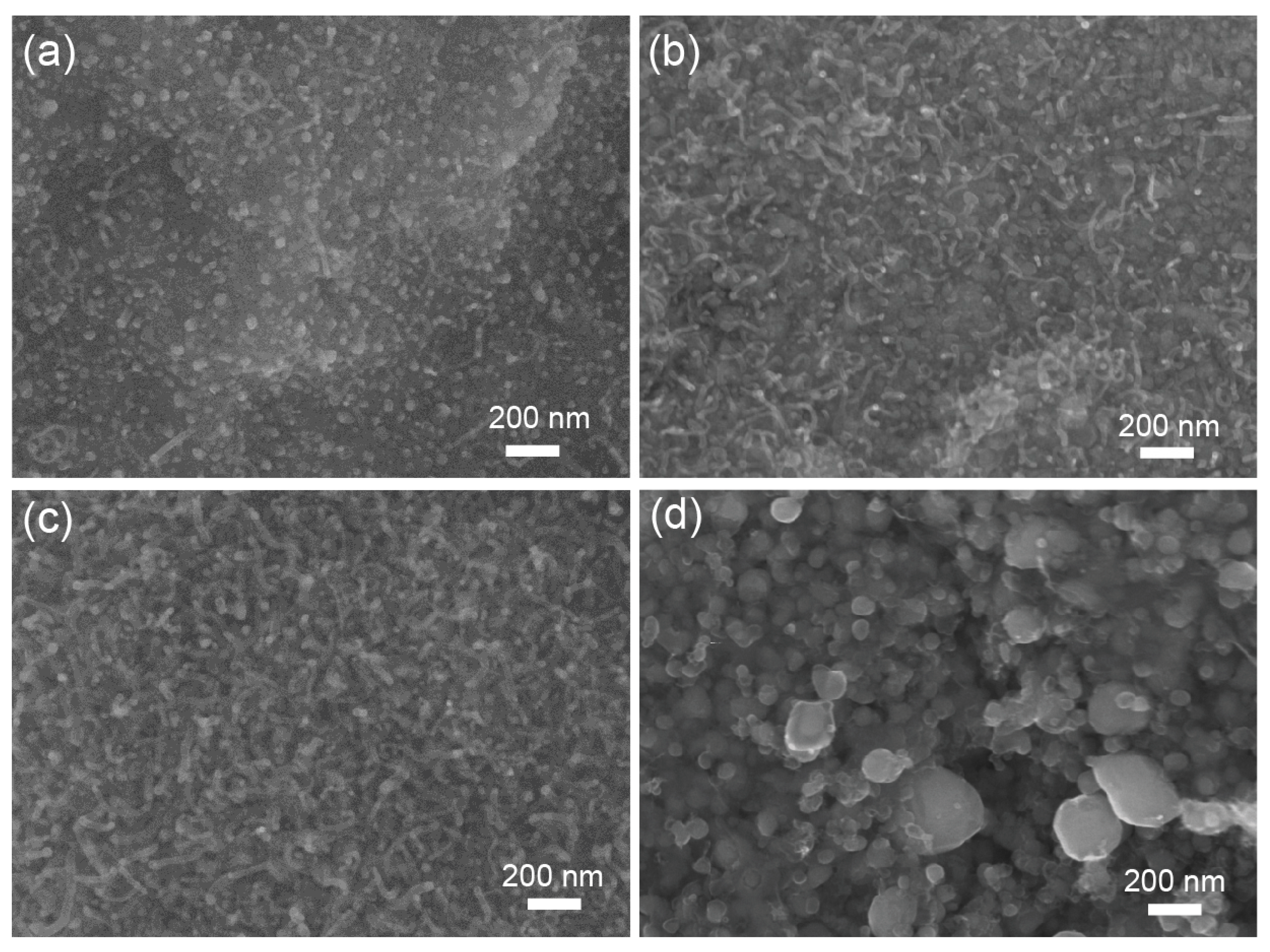 Nanomaterials 11 00261 g001