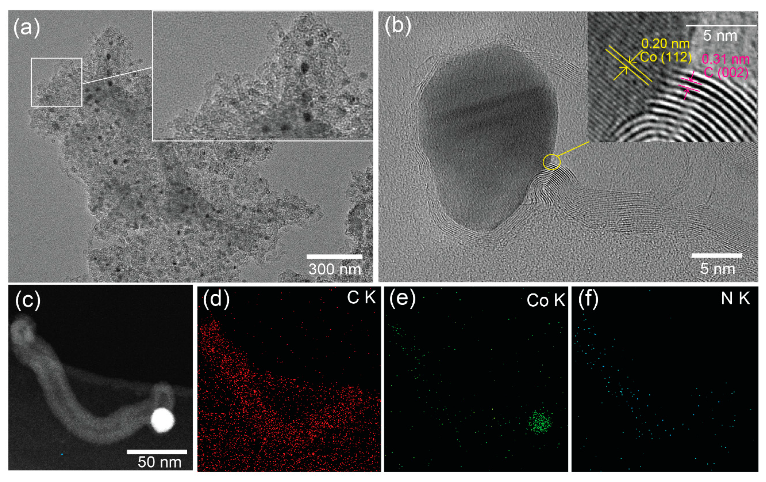 Nanomaterials 11 00261 g002