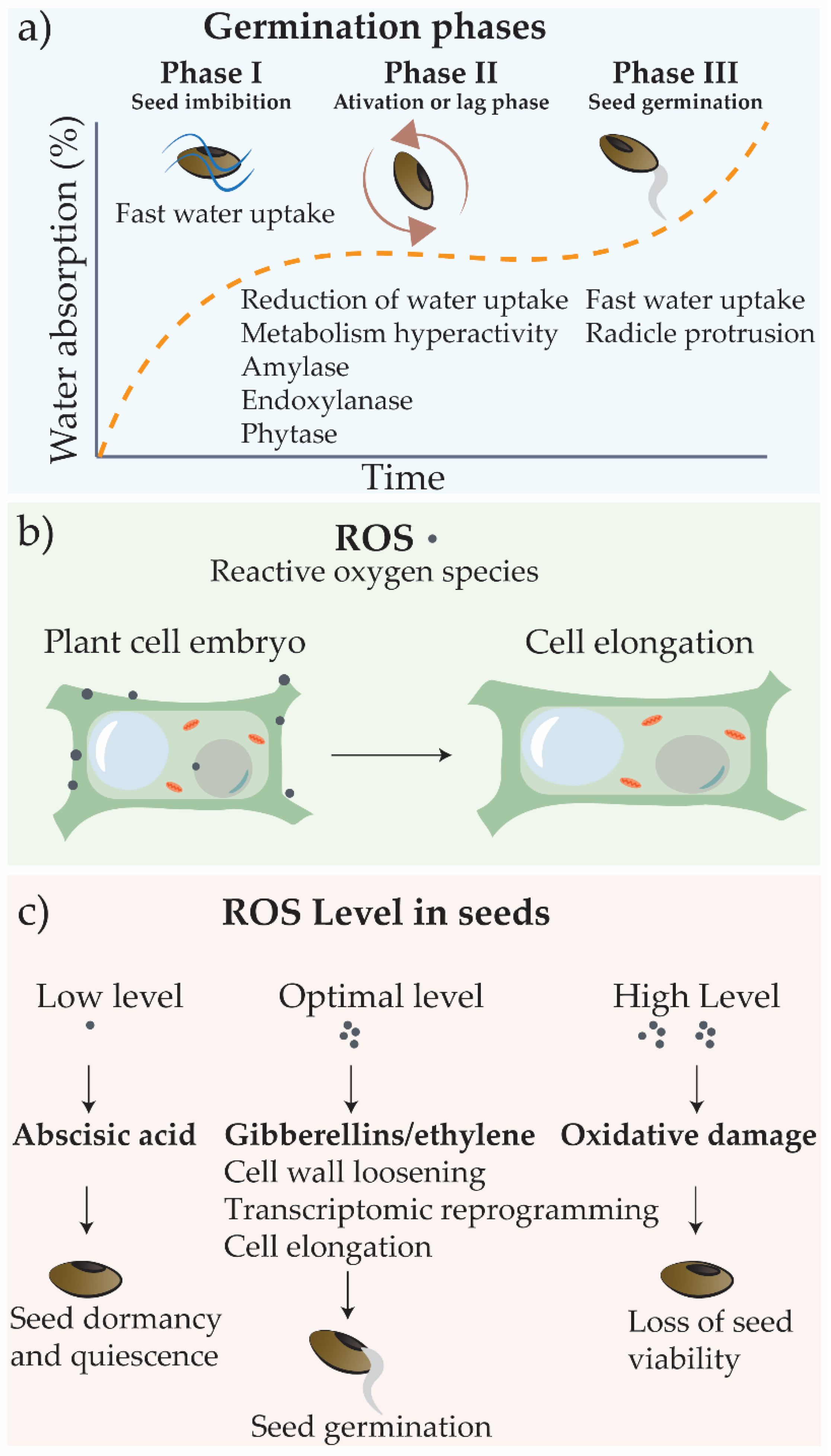 Nanomaterials 11 00267 g002 Nanomaterials 11 00267 g002