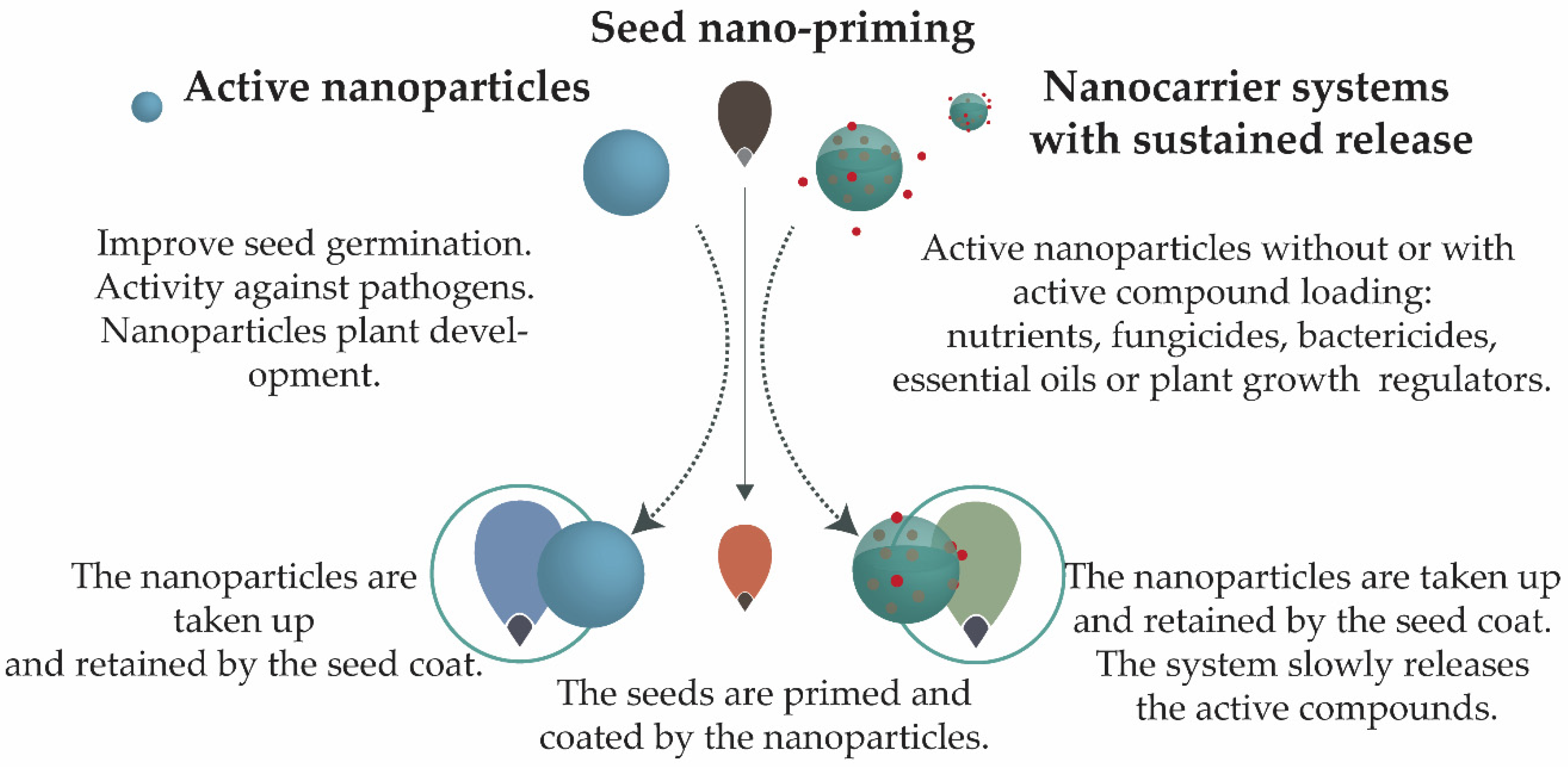 Nanomaterials 11 00267 g003 Nanomaterials 11 00267 g003