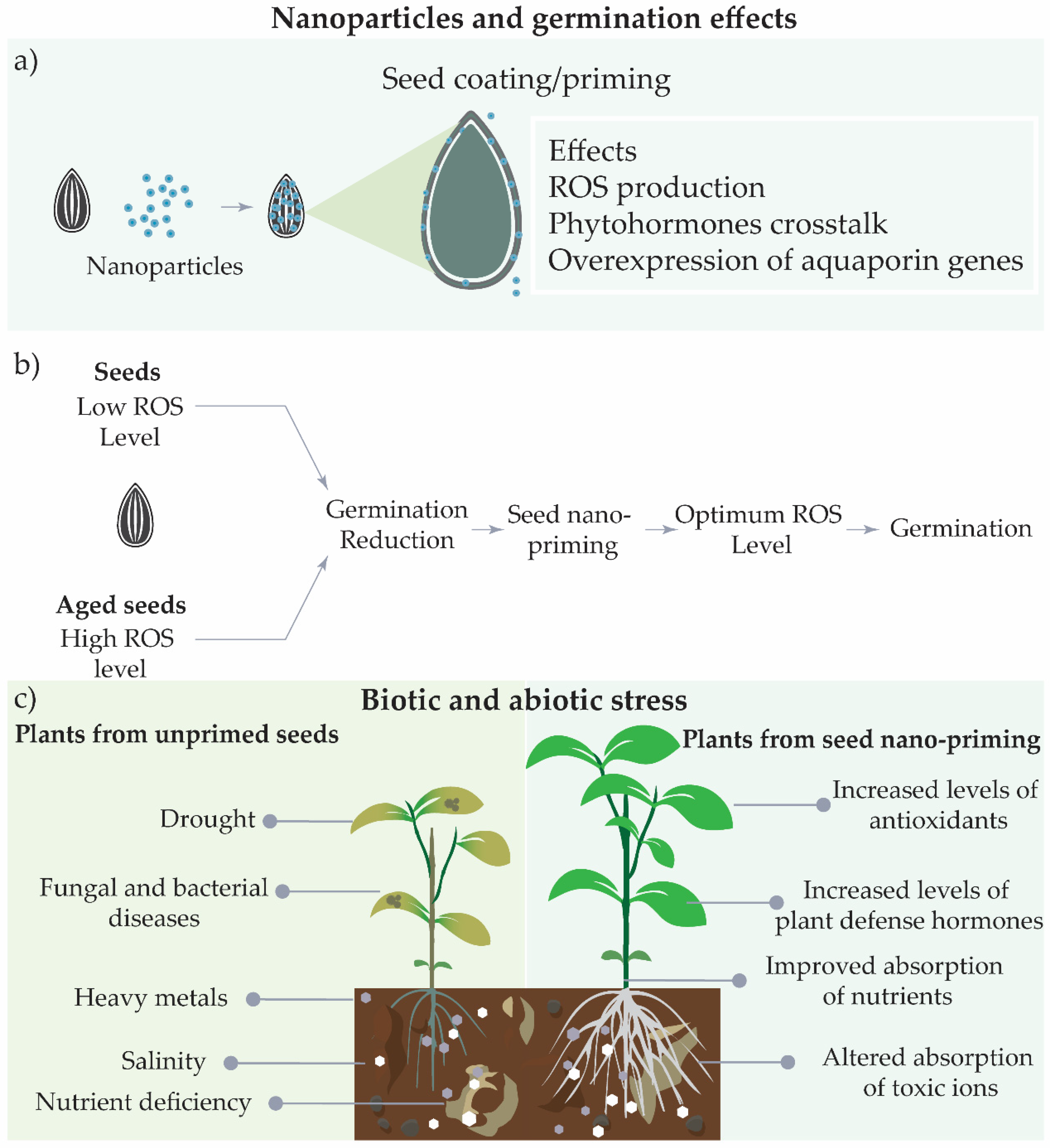 Nanomaterials 11 00267 g004 Nanomaterials 11 00267 g004