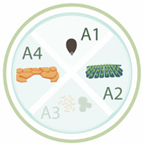 Nanomaterials 11 00267 i004 Nanomaterials 11 00267 i004