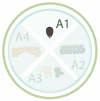 Nanomaterials 11 00267 i006 Nanomaterials 11 00267 i006