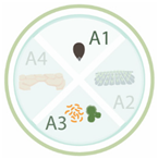 Nanomaterials 11 00267 i007 Nanomaterials 11 00267 i007