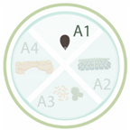 Nanomaterials 11 00267 i008 Nanomaterials 11 00267 i008