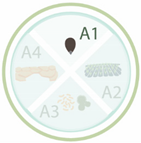 Nanomaterials 11 00267 i009 Nanomaterials 11 00267 i009