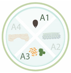 Nanomaterials 11 00267 i011 Nanomaterials 11 00267 i011