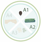 Nanomaterials 11 00267 i013 Nanomaterials 11 00267 i013