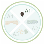 Nanomaterials 11 00267 i014 Nanomaterials 11 00267 i014