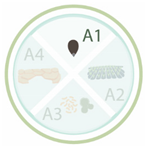 Nanomaterials 11 00267 i015 Nanomaterials 11 00267 i015