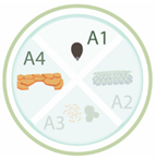 Nanomaterials 11 00267 i016 Nanomaterials 11 00267 i016