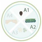 Nanomaterials 11 00267 i017 Nanomaterials 11 00267 i017