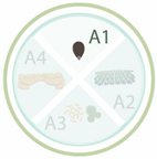 Nanomaterials 11 00267 i019 Nanomaterials 11 00267 i019