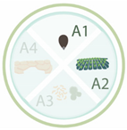 Nanomaterials 11 00267 i020 Nanomaterials 11 00267 i020