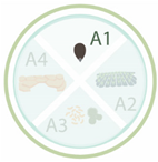 Nanomaterials 11 00267 i021 Nanomaterials 11 00267 i021