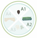 Nanomaterials 11 00267 i022 Nanomaterials 11 00267 i022