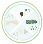 Nanomaterials 11 00267 i023 Nanomaterials 11 00267 i023