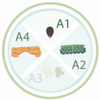 Nanomaterials 11 00267 i024 Nanomaterials 11 00267 i024