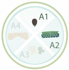 Nanomaterials 11 00267 i026 Nanomaterials 11 00267 i026