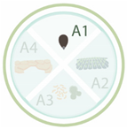 Nanomaterials 11 00267 i029 Nanomaterials 11 00267 i029