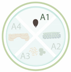 Nanomaterials 11 00267 i030 Nanomaterials 11 00267 i030