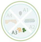 Nanomaterials 11 00267 i032 Nanomaterials 11 00267 i032