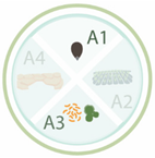 Nanomaterials 11 00267 i033 Nanomaterials 11 00267 i033