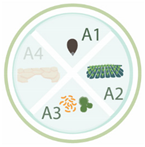 Nanomaterials 11 00267 i036 Nanomaterials 11 00267 i036