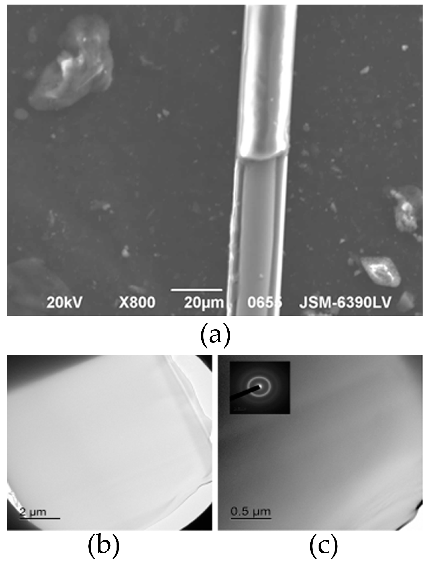Nanomaterials 11 00274 g001