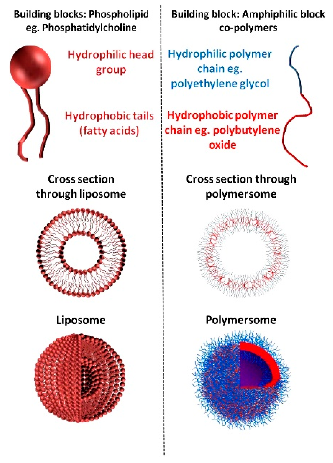 Nanomaterials 11 00278 g005 Nanomaterials 11 00278 g005