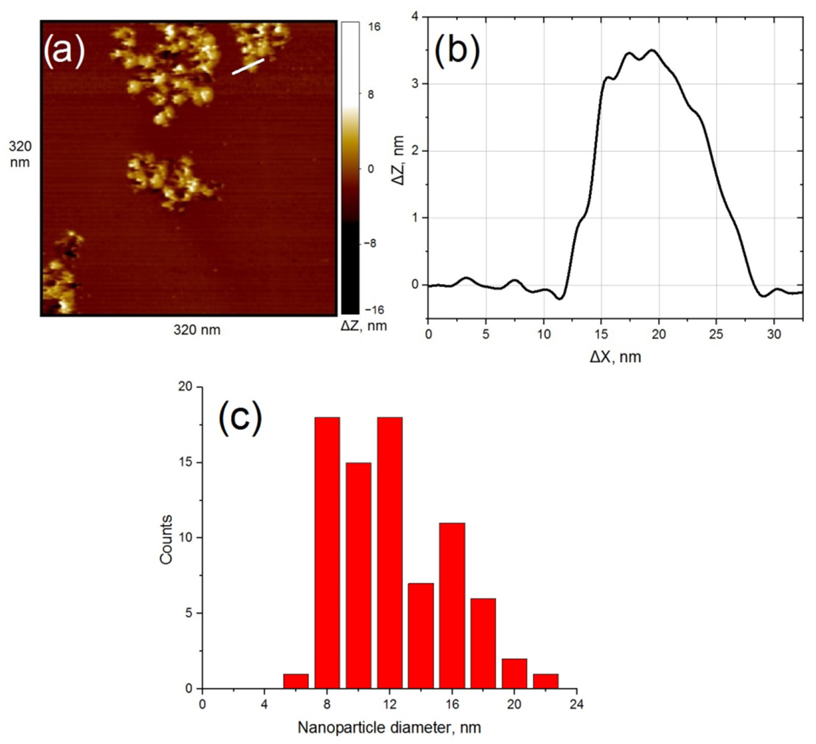 Nanomaterials 11 00279 g001