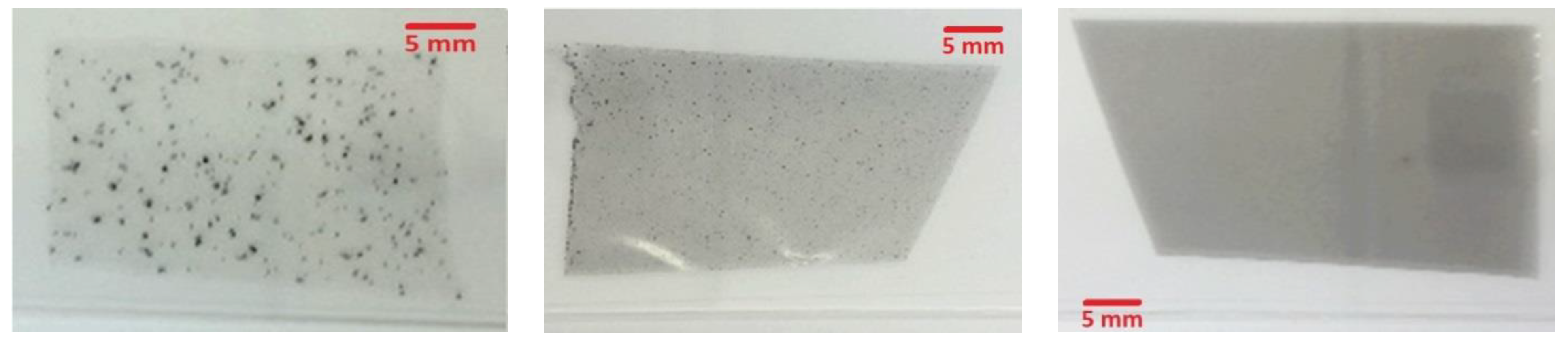 Nanomaterials 11 00280 g004