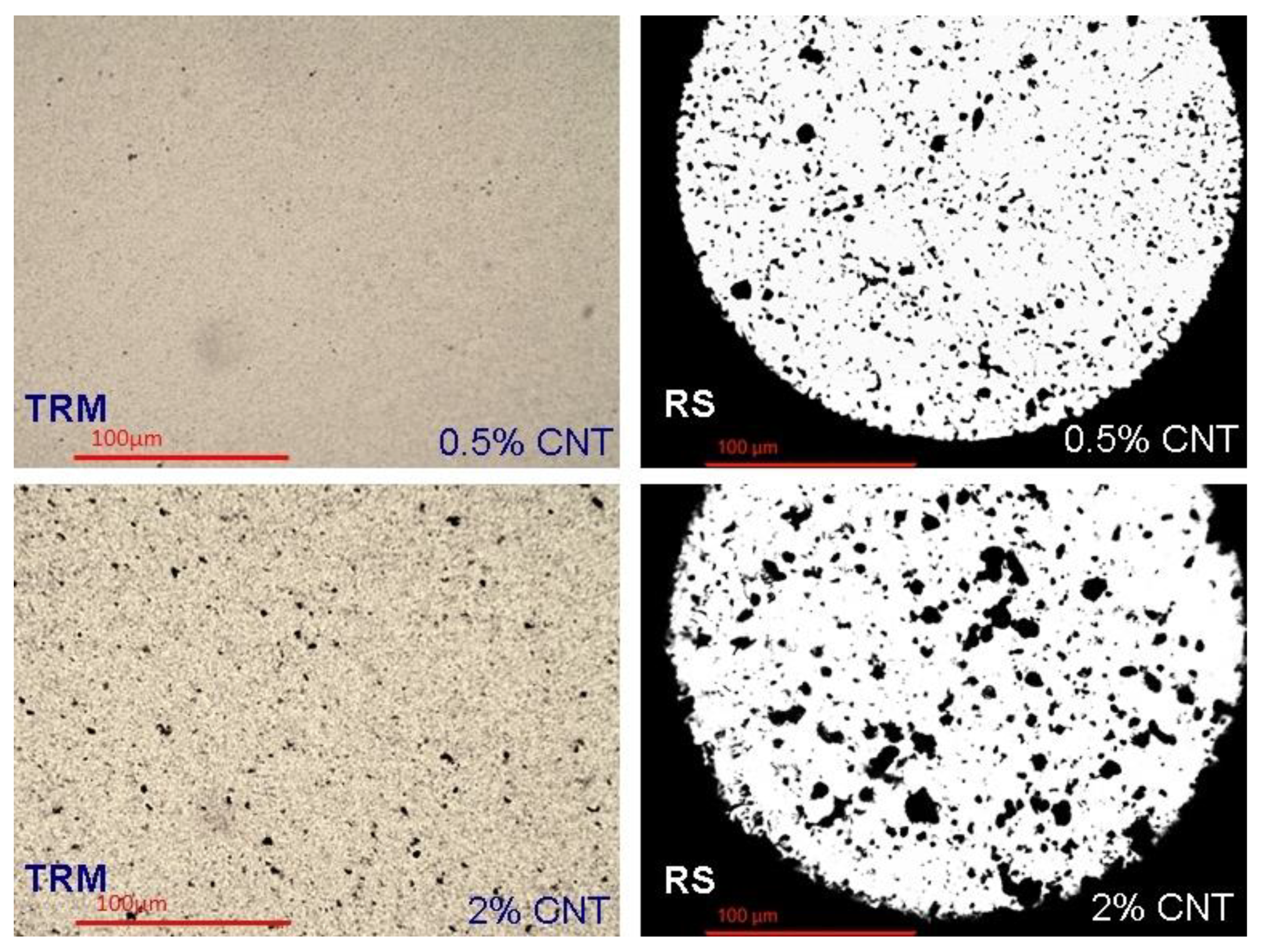 Nanomaterials 11 00280 g011