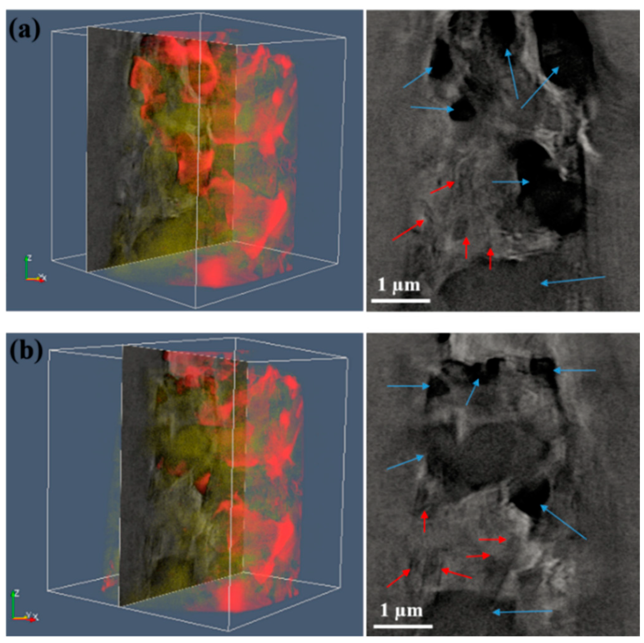 Nanomaterials 11 00285 g001