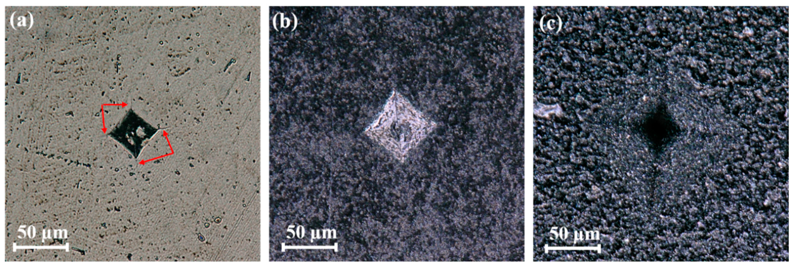 Nanomaterials 11 00285 g005
