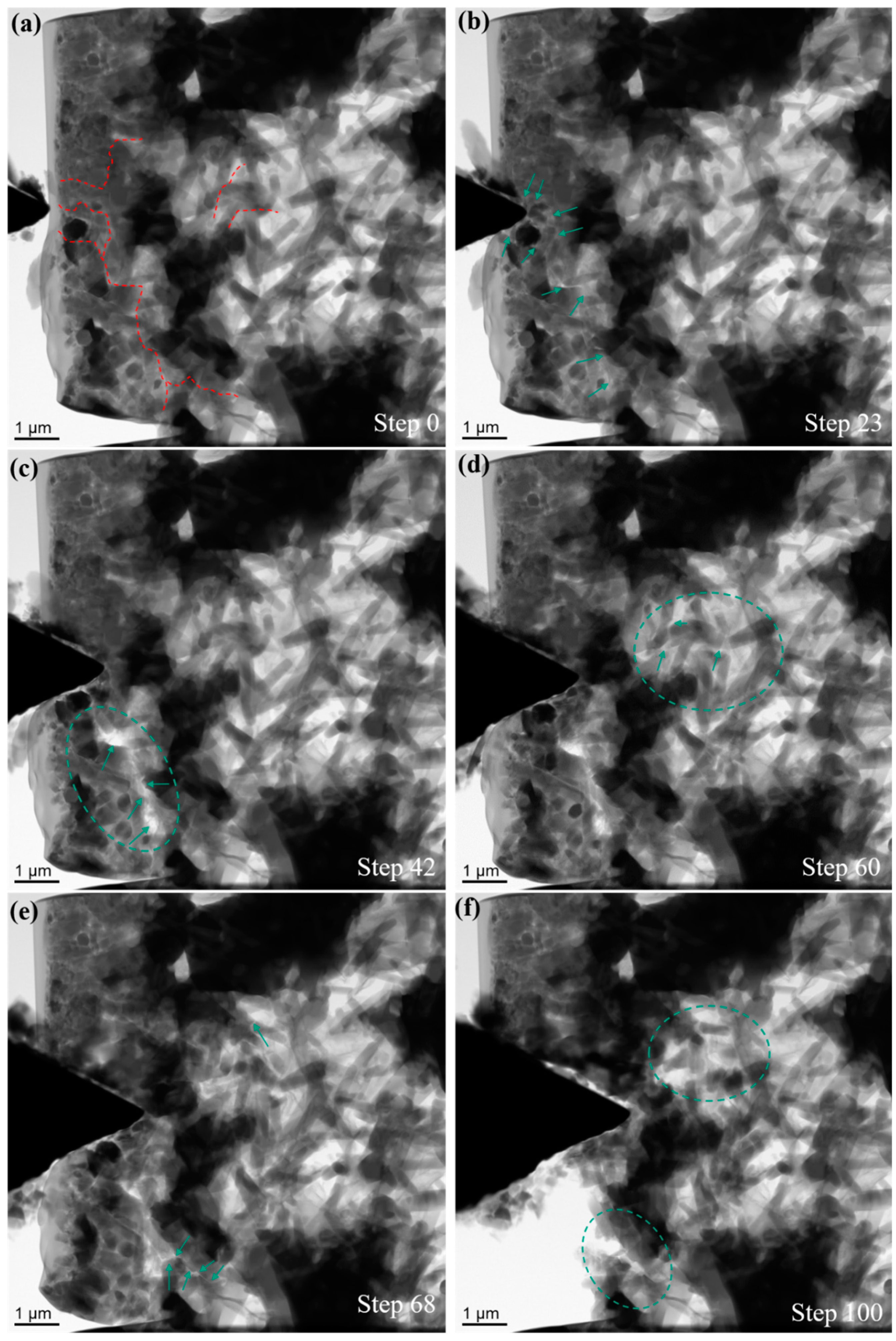 Nanomaterials 11 00285 g006