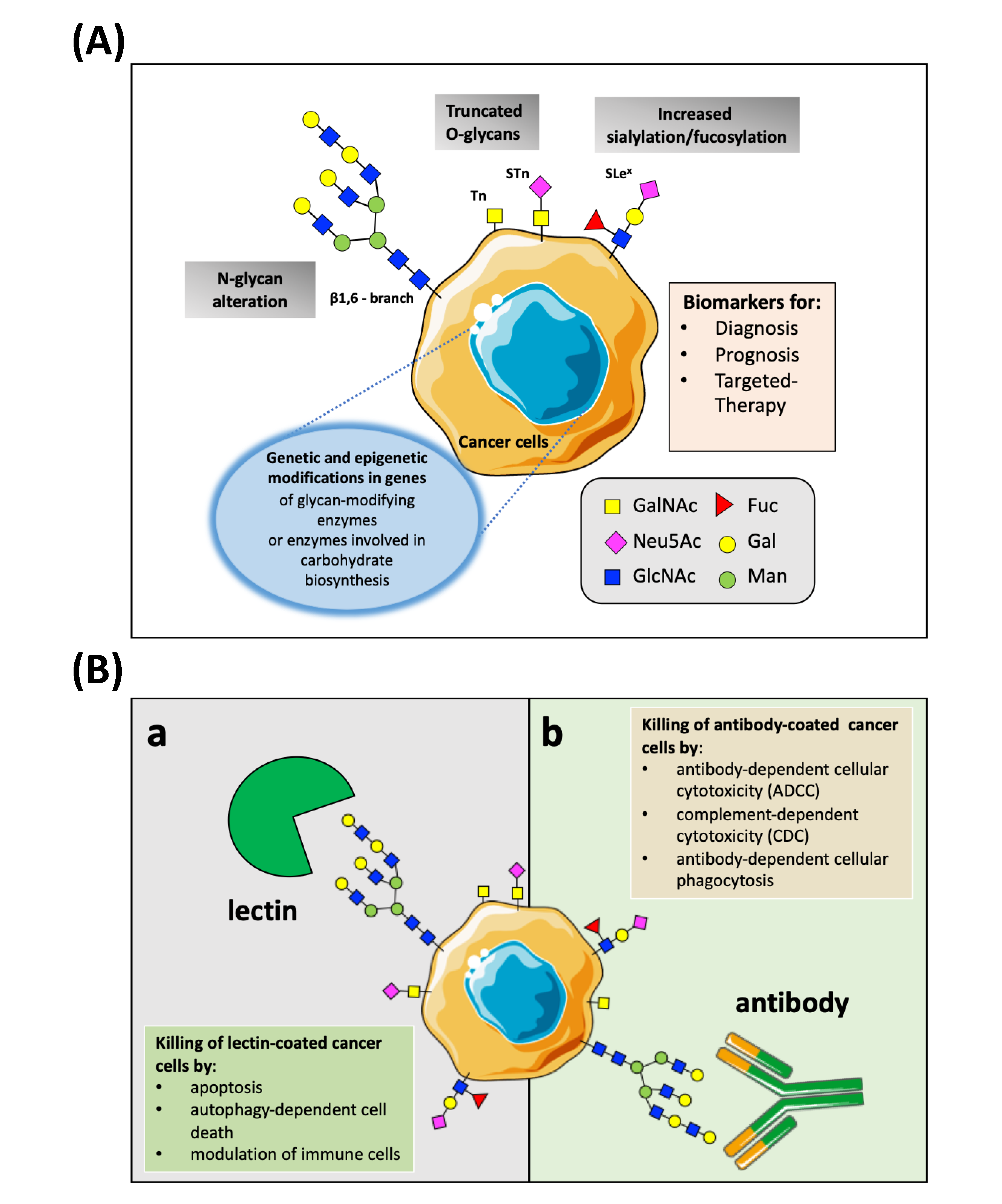 Nanomaterials 11 00289 g001 Nanomaterials 11 00289 g001