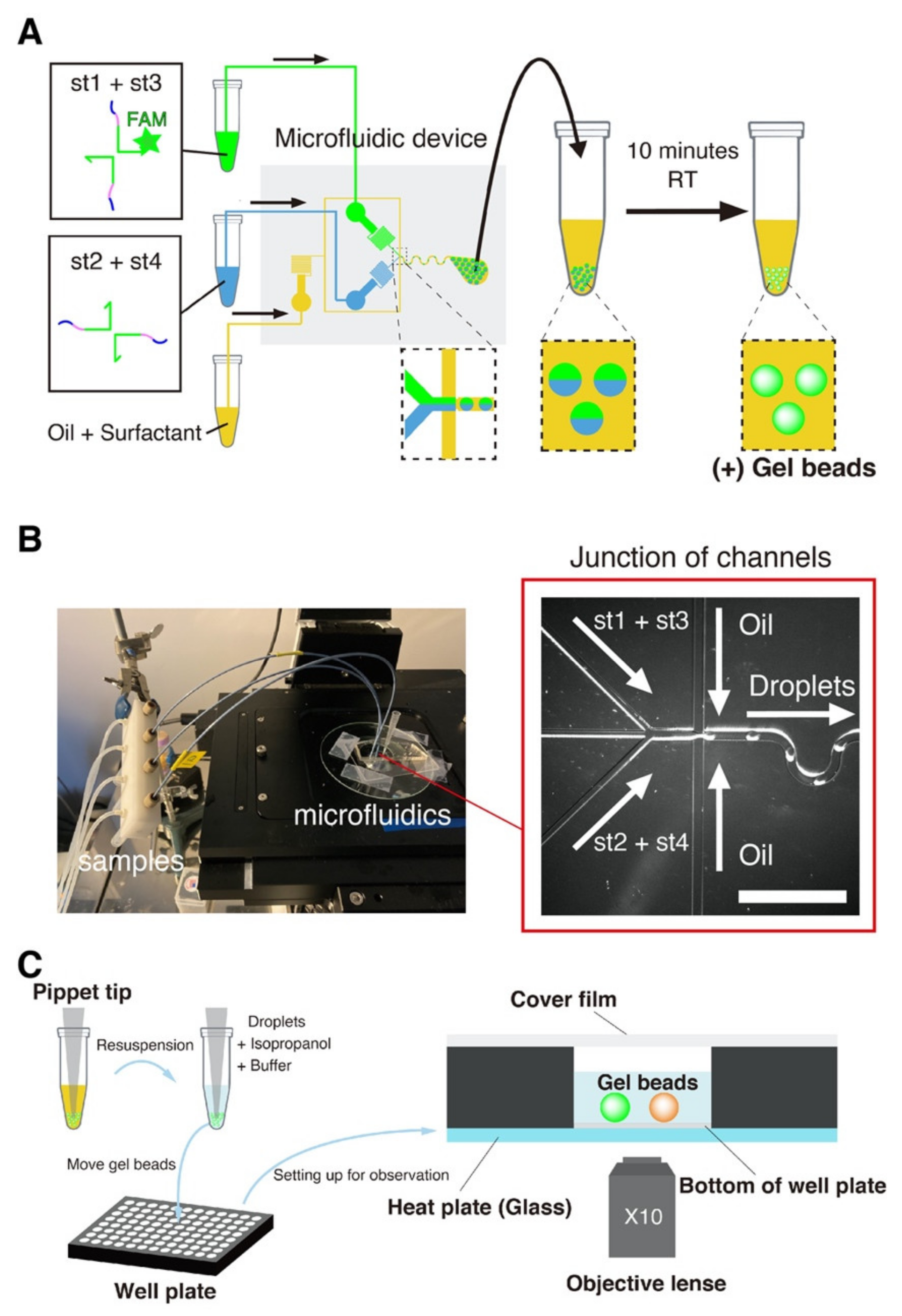 Nanomaterials 11 00293 g002
