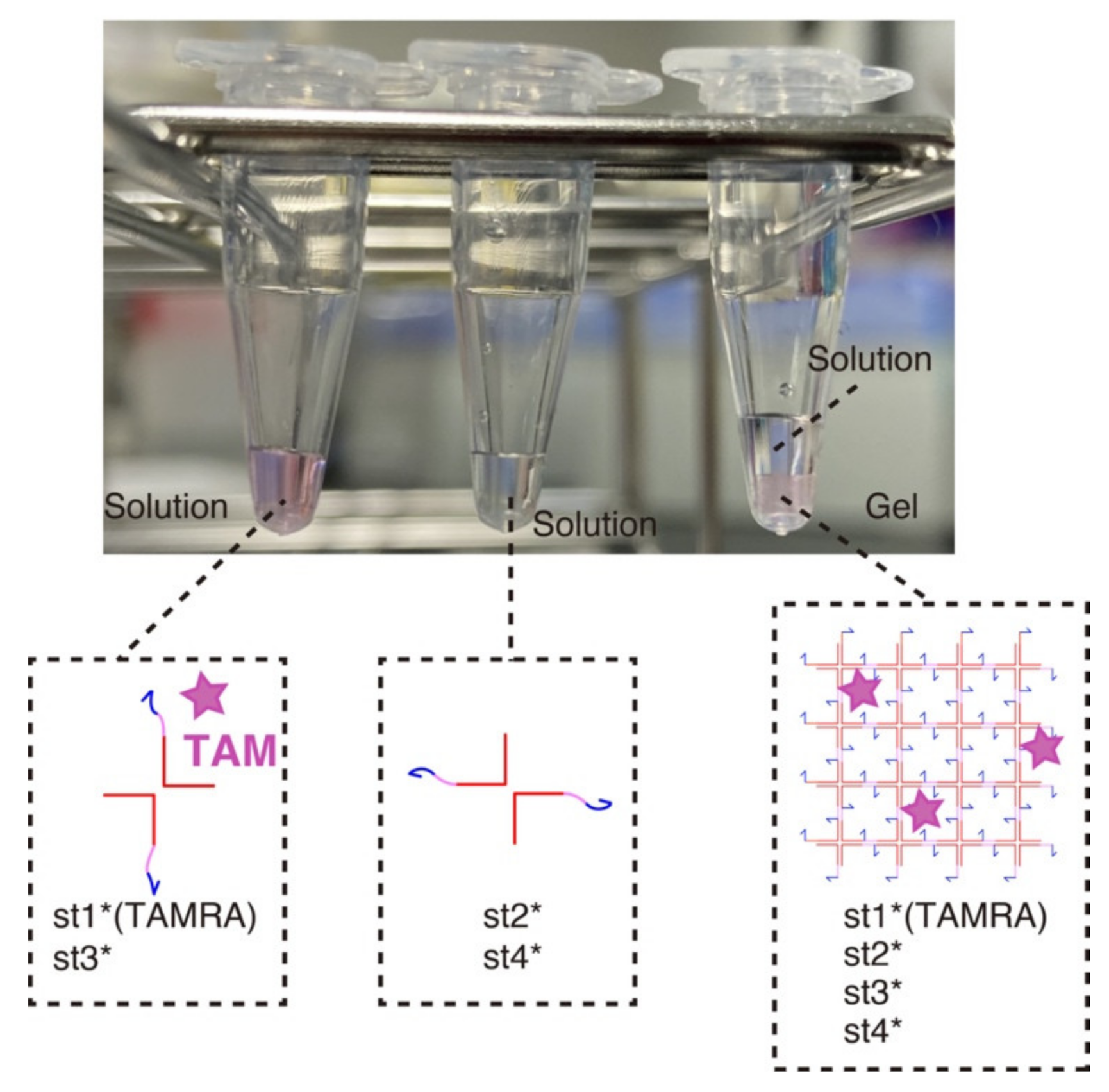 Nanomaterials 11 00293 g003