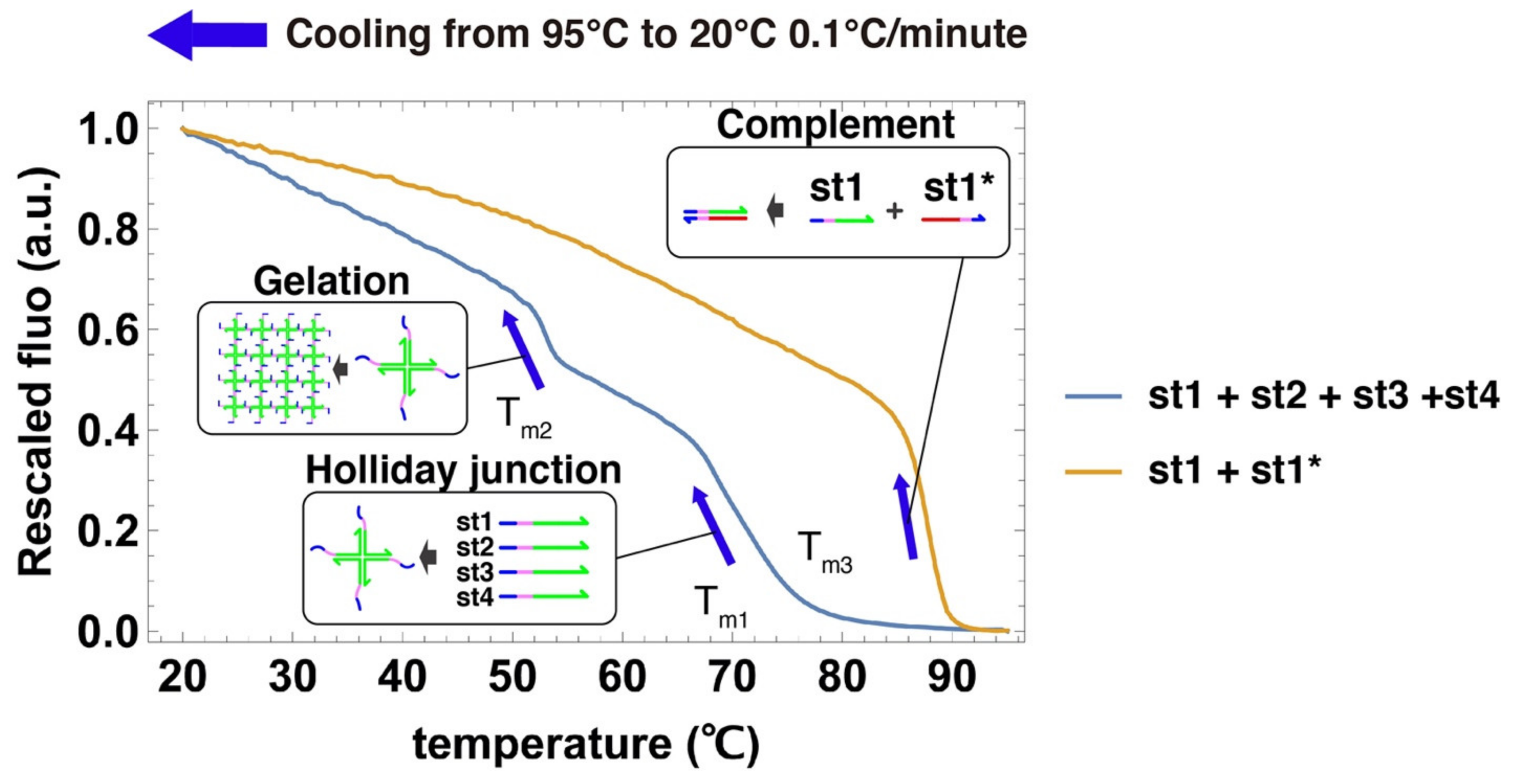 Nanomaterials 11 00293 g004