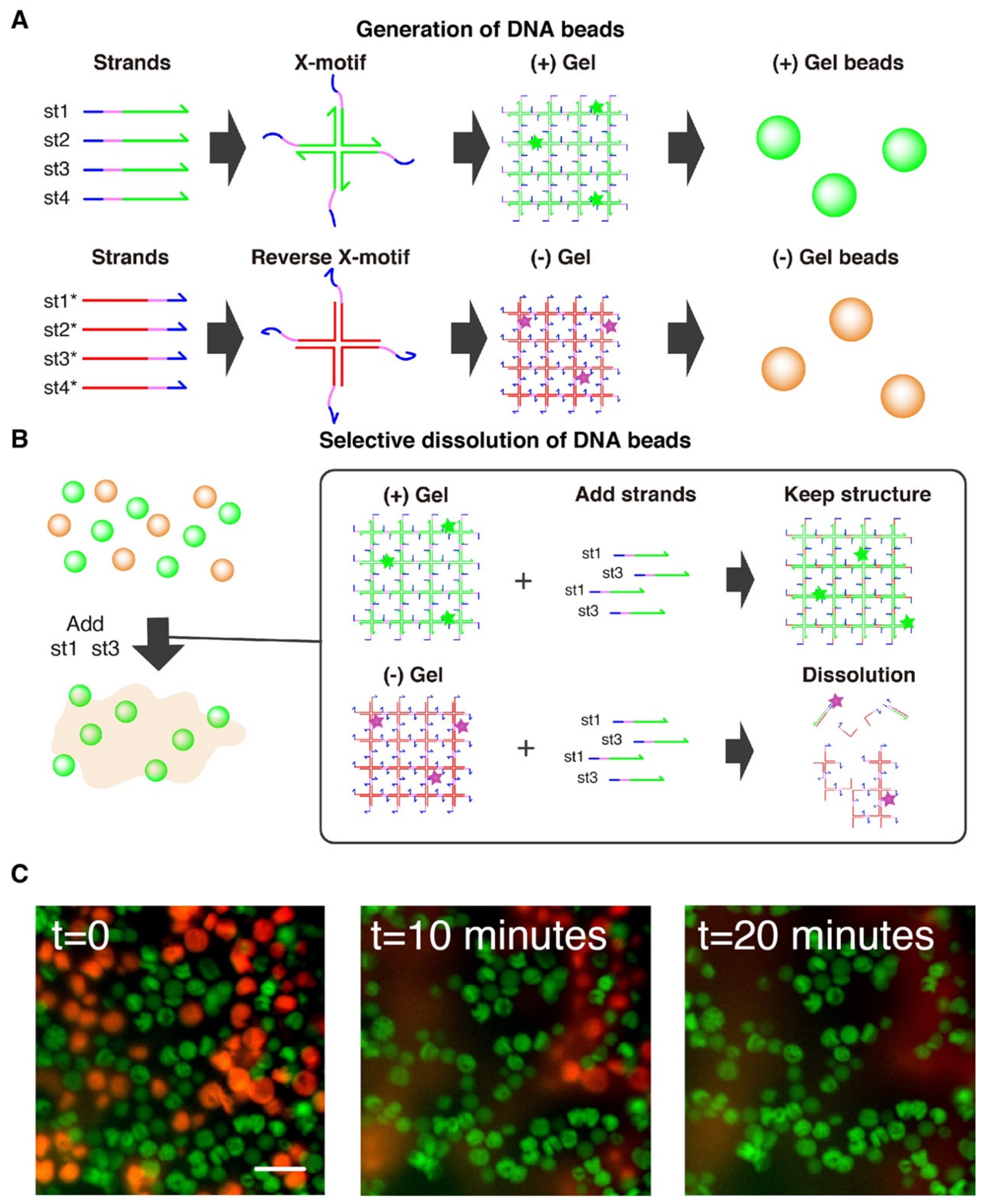 Nanomaterials 11 00293 g005