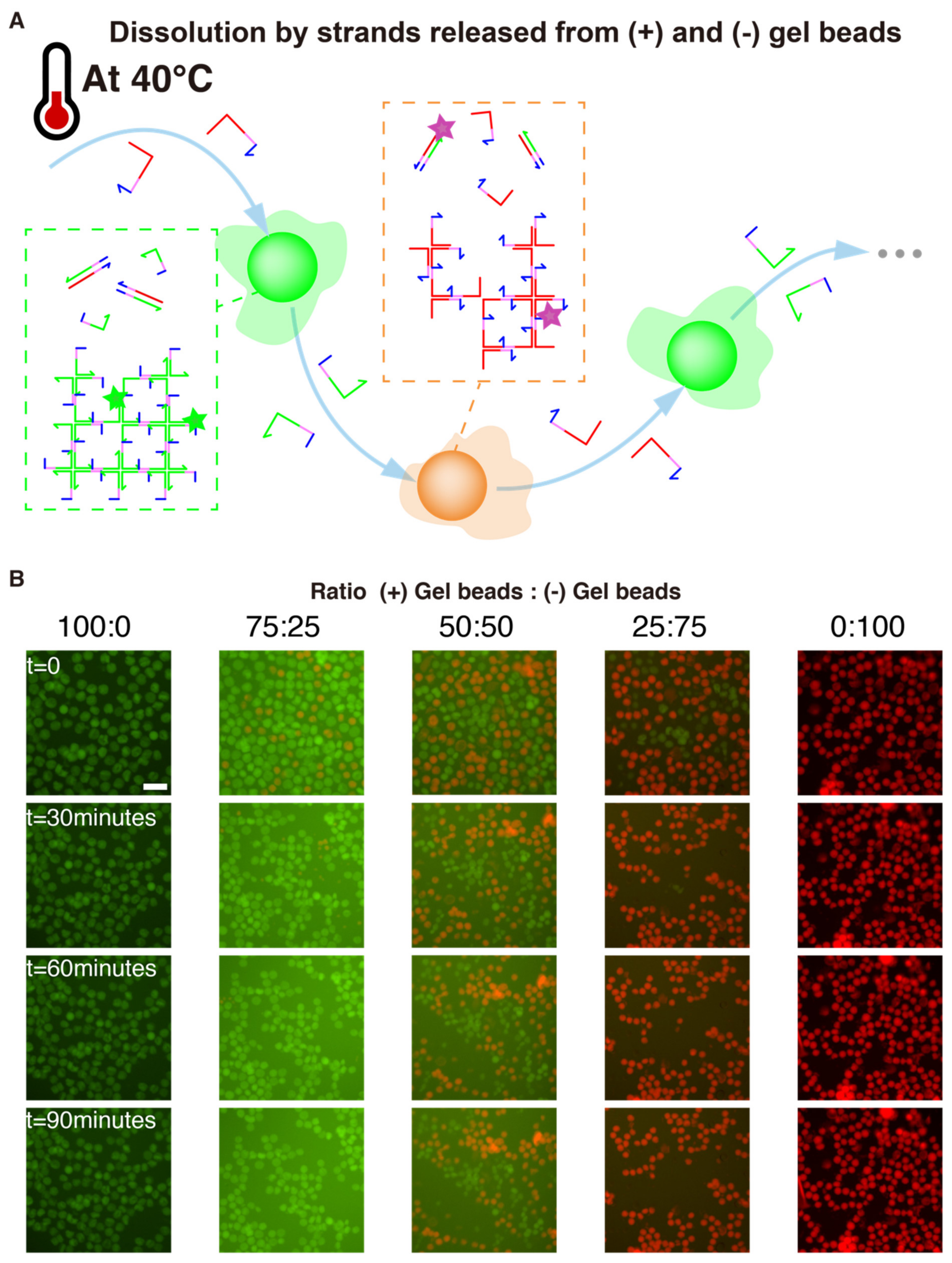 Nanomaterials 11 00293 g006