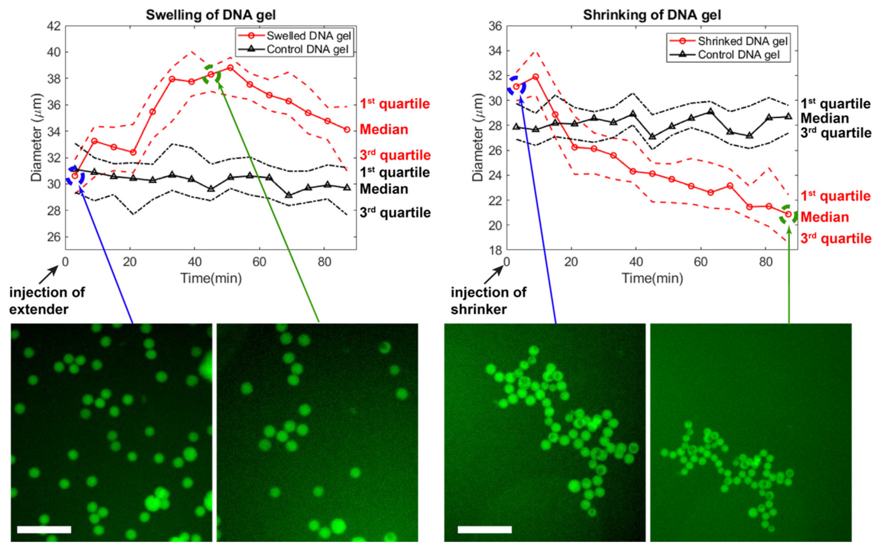 Nanomaterials 11 00293 g007