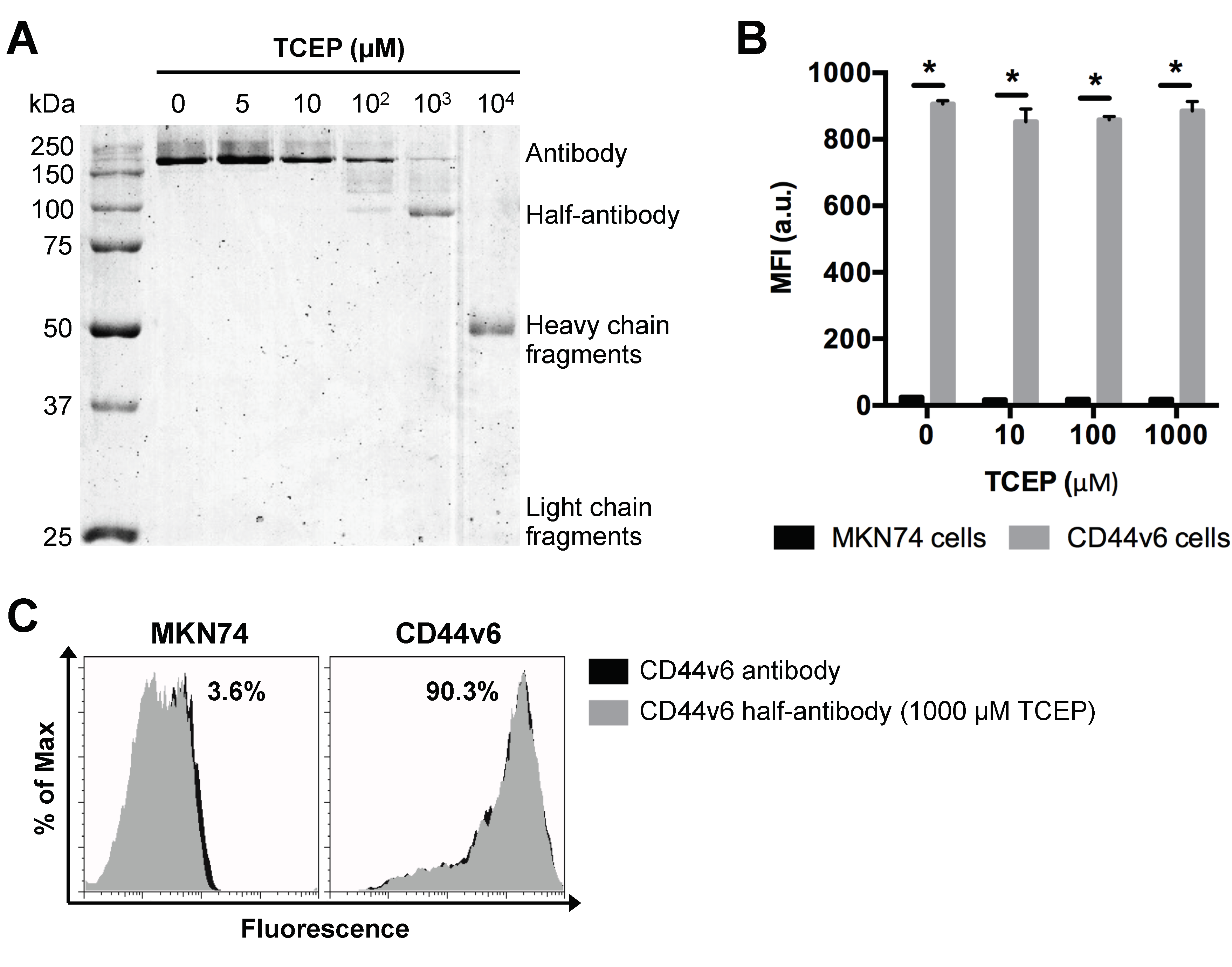Nanomaterials 11 00295 g003